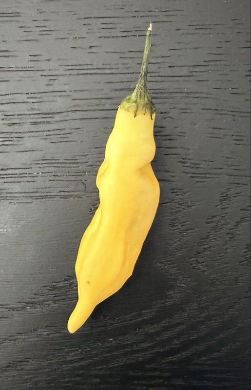 Aji Limón