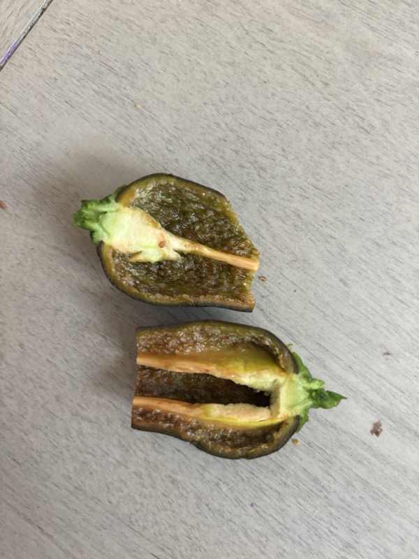 Chocolate Habanero