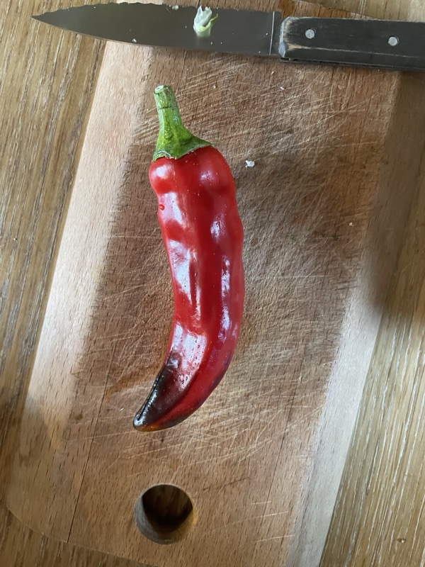 Piment Gorria